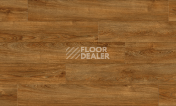 Moduleo Roots 0.40 дерево MIDLAND OAK 22821Q фото 2 | FLOORDEALER