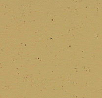 Forbo Marmoleum Solid Cocoa 3587 curcuma фото 1 | FLOORDEALER