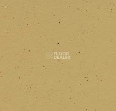 Линолеум Forbo Marmoleum Solid Cocoa 3587 curcuma фото 1 | FLOORDEALER