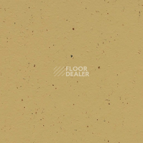 Линолеум Forbo Marmoleum Solid Cocoa 3587 curcuma фото 1 | FLOORDEALER