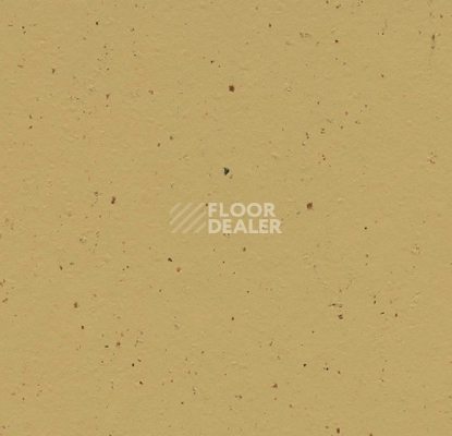 Линолеум Forbo Marmoleum Solid Cocoa 3587 curcuma фото 1 | FLOORDEALER
