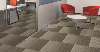 Ambient Ambient 549 фото 2 | FLOORDEALER