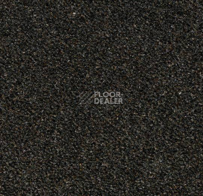 Ковровая плитка Westbond Natural w 12797U фото 1 | FLOORDEALER