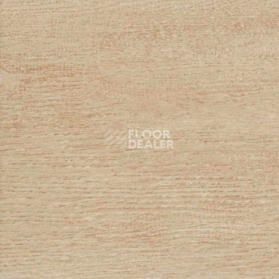 Керамогранит Estima Taste Time ts 03 фото 1 | FLOORDEALER