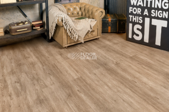 Alpine Floor Grand Sequoia Light 3.5мм Карите ECO11-901 фото 4 | FLOORDEALER