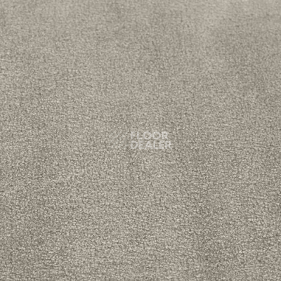 Ковролин Simla Cloud Grey фото 1 | FLOORDEALER