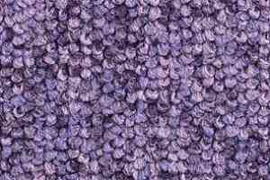 Ковролин Balsan Santa Fe DD Santa Fe dd 120 фото  | FLOORDEALER