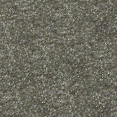 Ковролин Runner Beaulieu of America 07 фото 1 | FLOORDEALER