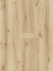 Кварцвиниловые полы Alix Floor Natural Line 5мм ALX1036-13А Дуб сонома рустикальный фото 1 | FLOORDEALER