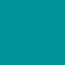 Линолеум Tarkett Omnisports R65 TH_TEAL фото 1 | FLOORDEALER