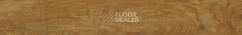 FF-2000 Rich 2067 Пекан Барроу фото 2 | FLOORDEALER
