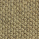 Ковролин Edel Barbican 122  | FLOORDEALER