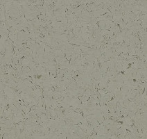 Кварцвиниловые полы Forbo Allura Colour C68013 фото 1 | FLOORDEALER