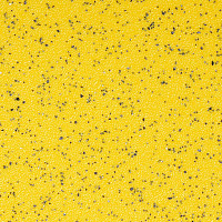 Линолеум Stop F 2.5 3072_05_228 фото 1 | FLOORDEALER