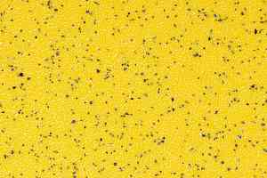 Линолеум Stop F 2.5 3072_05_228 фото  | FLOORDEALER