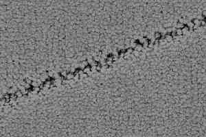 Ковролин Balsan Palace 920 фото  | FLOORDEALER