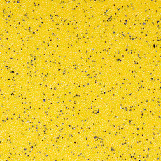 Линолеум Stop F 2.5 3072_05_228 фото 1 | FLOORDEALER