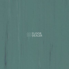 Линолеум Lino Fatra DUAL 742 фото 1 | FLOORDEALER