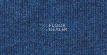 Ковролин Sintelon Ekonomic Plus 445EP фото 1 | FLOORDEALER