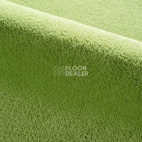 Ковролин Radici Dolce Vita 1301 фото 1 | FLOORDEALER