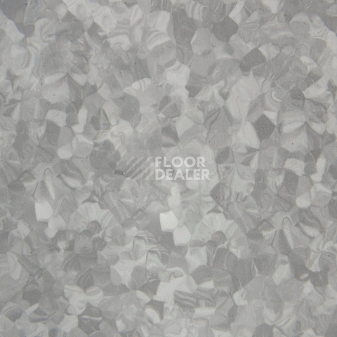Tarkett iq Melodia 2603 фото 3 | FLOORDEALER