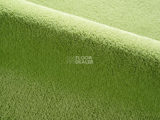 Ковролин Radici Dolce Vita 1301 фото 1 | FLOORDEALER