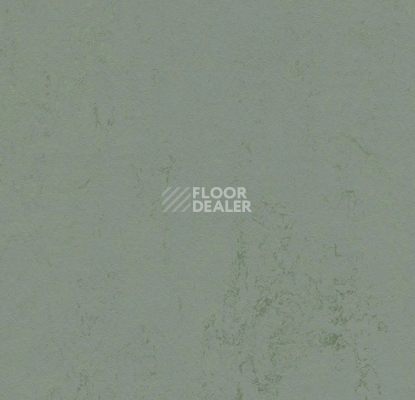 Линолеум Forbo Marmoleum Solid Concrete 3751/375135 tundra фото 1 | FLOORDEALER