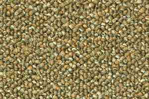 Ковровая плитка Tessera Atrium 1465 фото  | FLOORDEALER