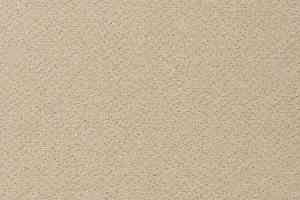 Ковролин Vorwerk Passion 1006 Vorwerk 8j13 фото  | FLOORDEALER