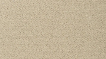 Ковролин Vorwerk Passion 1006 Vorwerk 8j13 фото 1 | FLOORDEALER