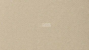 Ковролин Vorwerk Passion 1006 Vorwerk 8j13 фото 1 | FLOORDEALER