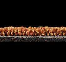 Escom Prestige 348 фото 3 | FLOORDEALER