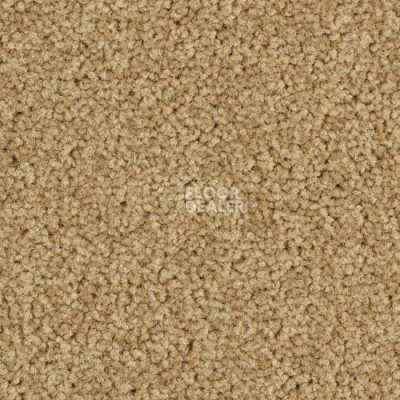 Ковровая плитка Balsan Serenite 641 фото 1 | FLOORDEALER