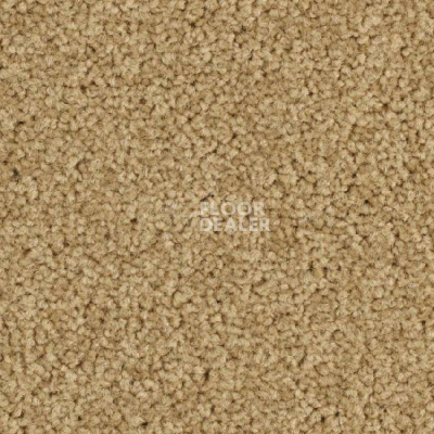 Ковровая плитка Balsan Serenite 641 фото 1 | FLOORDEALER