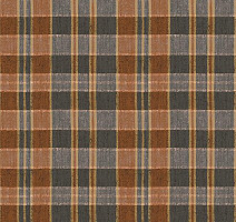 Ковролин Flotex Vision Pattern 590001 (Plaid) Rust фото 1 | FLOORDEALER