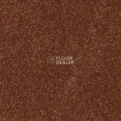 Ковролин Shaw Design Texture Platinum 620 фото 1 | FLOORDEALER