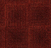 Ковролин Condor Carpets Amazon 211 фото 1 | FLOORDEALER