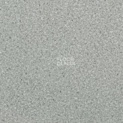 Линолеум Lg Durable DU90005 фото 1 | FLOORDEALER