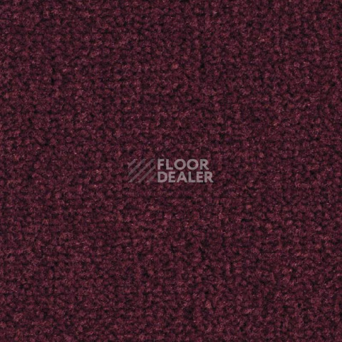 Ковролин Balsan Les Best 590 фото 1 | FLOORDEALER
