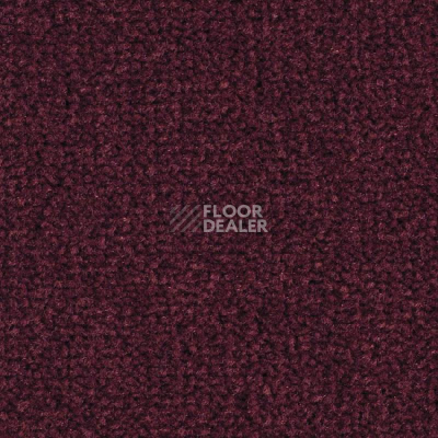 Ковролин Balsan Les Best 590 фото 1 | FLOORDEALER