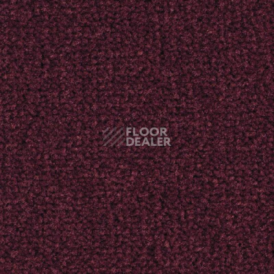 Ковролин Balsan Les Best 590 фото 1 | FLOORDEALER