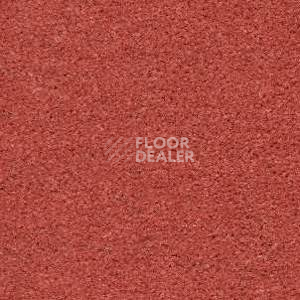 Ковролин Radici Montecarlo 55 фото 1 | FLOORDEALER