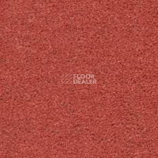 Ковролин Radici Montecarlo 55 фото 1 | FLOORDEALER