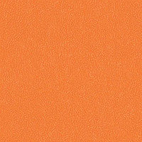 Линолеум Grabo Sport Elite 3338_00_275 фото 1 | FLOORDEALER