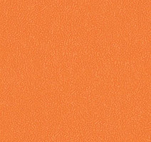 Линолеум Grabo Sport Elite 3338_00_275 фото 1 | FLOORDEALER