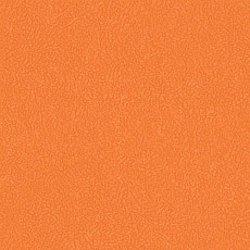 Линолеум Grabo Sport Elite 3338_00_275 фото 1 | FLOORDEALER