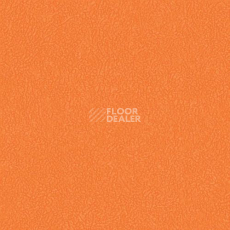 Линолеум Grabo Sport Elite 3338_00_275 фото 1 | FLOORDEALER