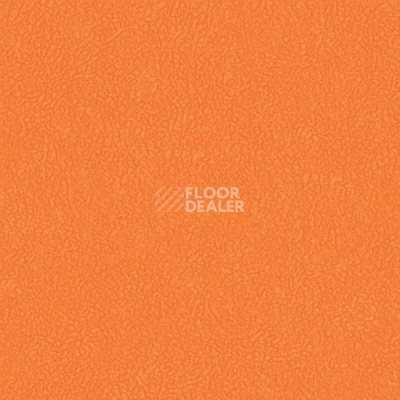 Линолеум Grabo Sport Elite 3338_00_275 фото 1 | FLOORDEALER