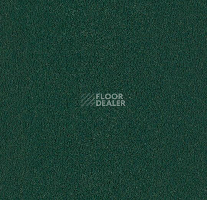 Ковровая плитка Westbond Ibond зеленая гамма 9437 фото 1 | FLOORDEALER