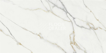 Керамогранит Aston Gold 60X120 Pul Rect фото 1 | FLOORDEALER